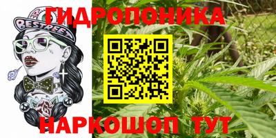 каннабис Кингисепп