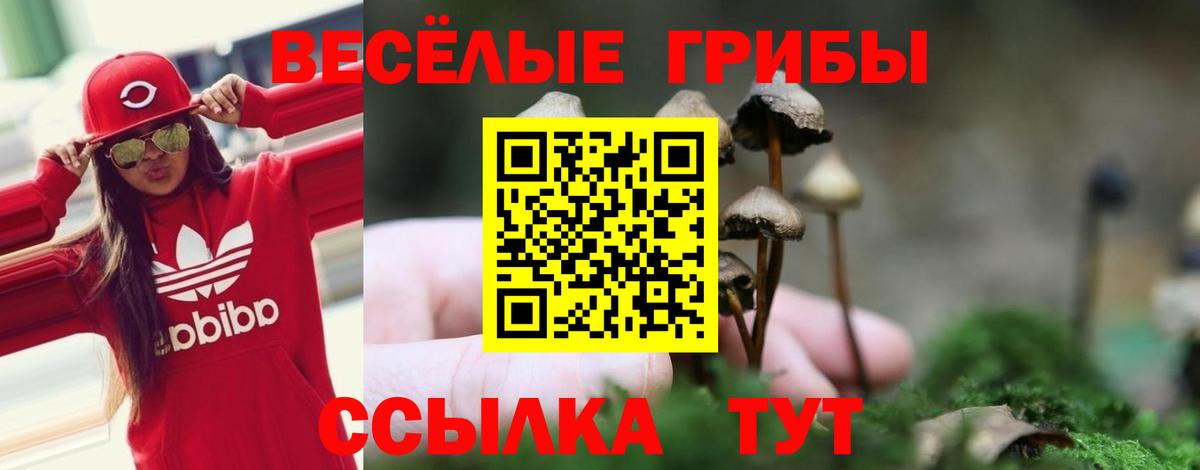Галлюциногенные грибы ЛСД  Вход с VPN  Красногорск 